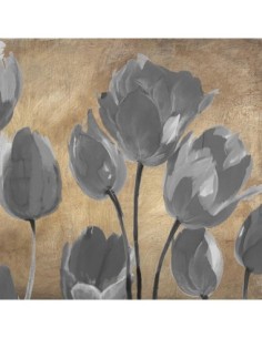 Tulipanes grises II