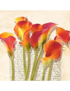 Historias de Callas (detalle)