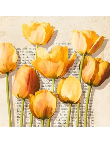 Historias de tulipanes (detalle)