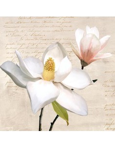 Magnolia marfil I