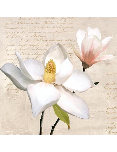 Magnolia marfil I
