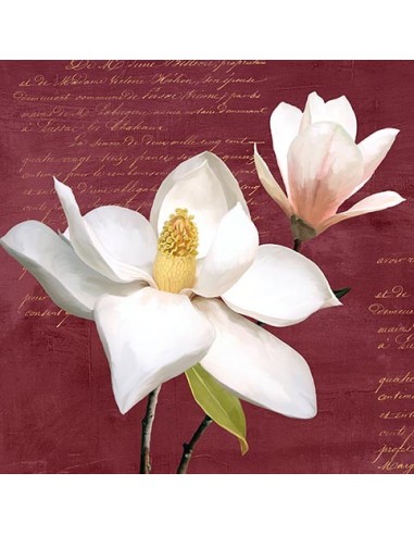 Magnolia de Borgoña I