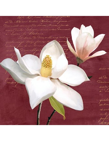 Magnolia de Borgoña I