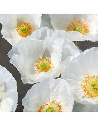 Amapolas en la pizarra II