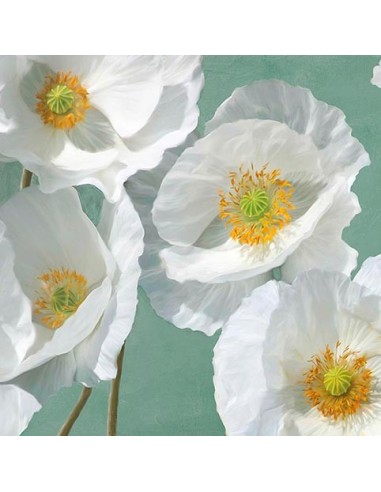 Amapolas sobre menta I