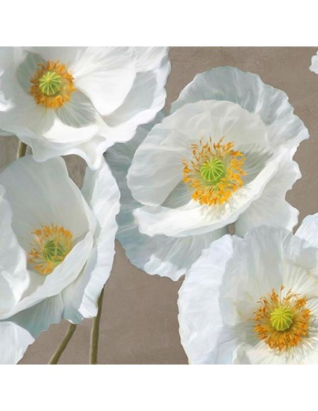 Amapolas sobre gris topo I