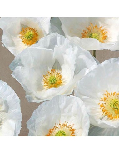 Amapolas en Taupe II