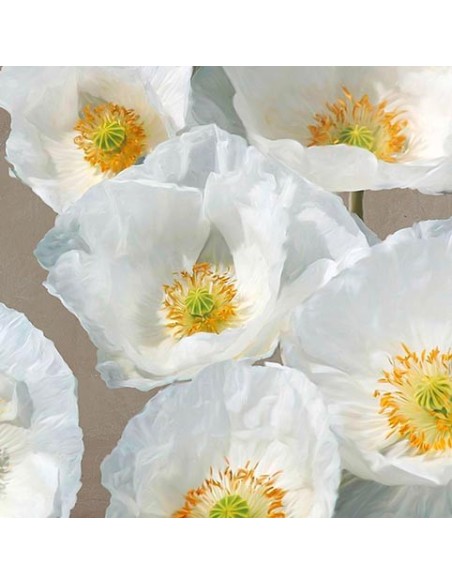 Amapolas en Taupe II